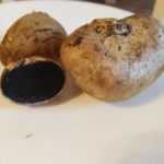 <?php the_title(); ?>