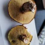 <?php the_title(); ?>