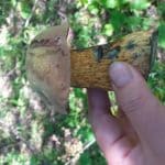 <?php the_title(); ?>