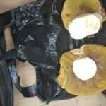 <?php the_title(); ?>