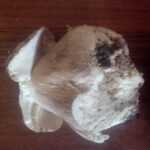 <?php the_title(); ?>