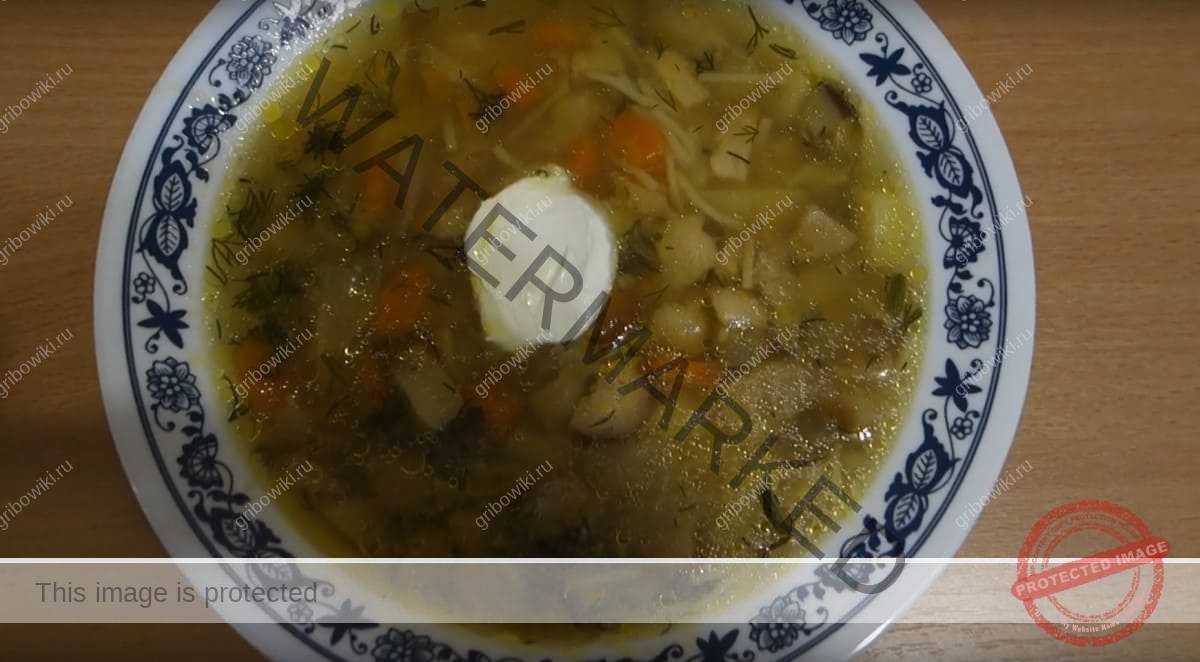 Грибной суп рецепт из замороженных белых. Грибной суп рецепт из замороженных белых