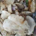 <?php the_title(); ?>