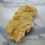 <?php the_title(); ?>